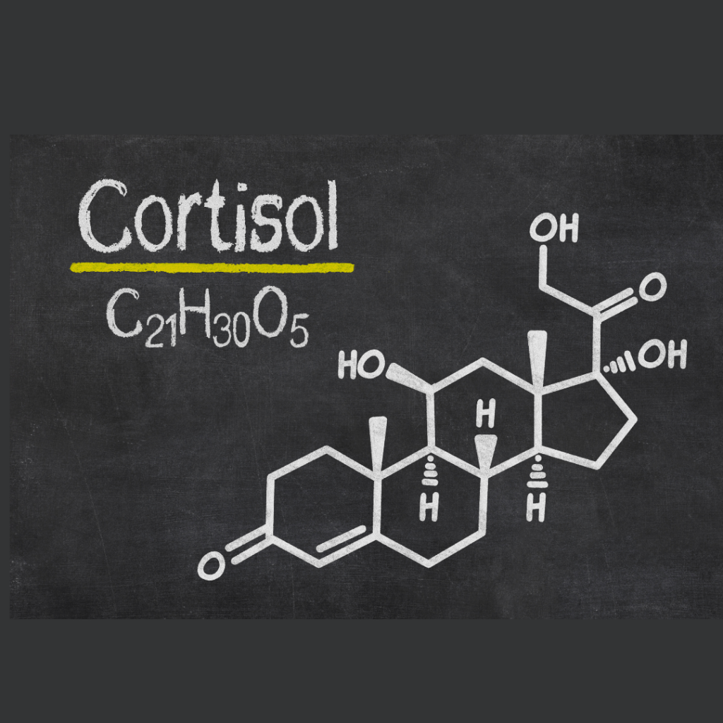 cortisol-stress